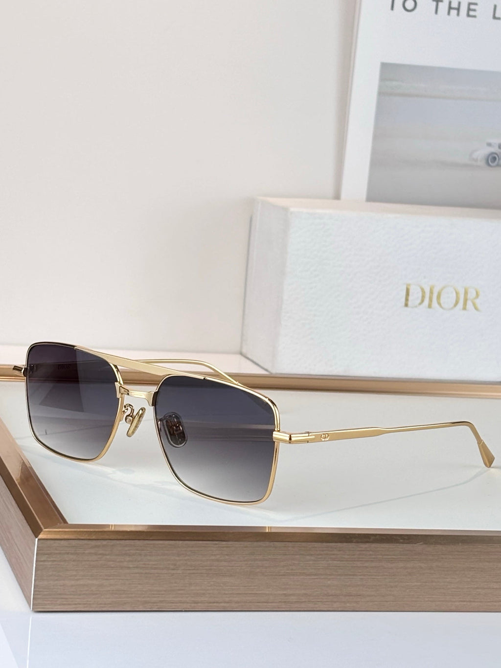 Dior Diorblacksuit s17U Sunglasses